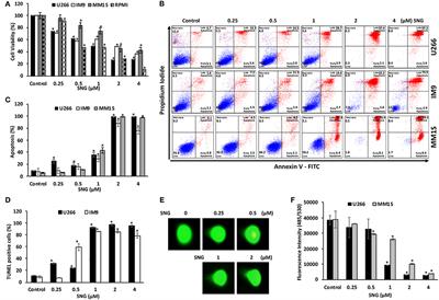 Sanguinarine Induces Apoptosis Pathway in Multiple Myeloma Cell Lines via Inhibition of the JaK2/STAT3 Signaling